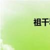 祖千秋（关于祖千秋介绍）
