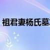 祖君妻杨氏墓志（关于祖君妻杨氏墓志介绍）