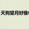 天狗望月好像什么,照样子写句子（天狗望月）