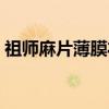 祖师麻片薄膜衣（关于祖师麻片薄膜衣介绍）