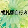 祖扎娜自行火炮（关于祖扎娜自行火炮介绍）