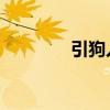 引狗入寨 释义（引狗入寨）