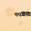 qq宠物结婚生蛋（qq宠物结婚）