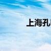 上海孔明灯着火（上海孔明灯）