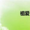 祖爱民（关于祖爱民介绍）