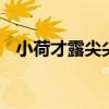 小荷才露尖尖角 早有蜻蜓立上头什么意思