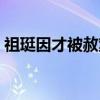 祖珽因才被赦案（关于祖珽因才被赦案介绍）