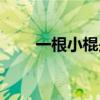 一根小棍是什么（一根小棍不太长）