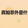 真如非外是什么意思（不外如是是什么意思）