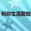 祝你生活甜如蜜（关于祝你生活甜如蜜介绍）
