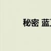 秘密 蓝又时mp3（秘密 蓝又时）