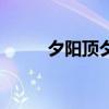 夕阳顶夕阳打一字（夕阳打一字）