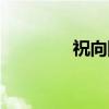 祝向阳（关于祝向阳介绍）