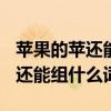 苹果的苹还能组什么词? 百度网盘（苹果的苹还能组什么词）