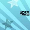 祝廷成（关于祝廷成介绍）
