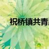 祝桥镇共青路（关于祝桥镇共青路介绍）