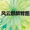 风云麒麟臂图片（风云无双麒麟臂进阶数据）