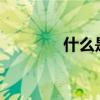 什么是素酒?（什么是素酒）