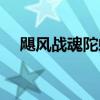 飓风战魂陀螺怎么安装（飓风战魂陀螺）