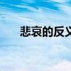 悲哀的反义词三年级(悲哀的反义词) 悲哀的反义词三年级(悲哀的反义词)