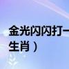 金光闪闪打一个生肖是什么（金光闪闪打一个生肖）