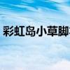 彩虹岛小草脚本怎么设置（彩虹岛小草脚本）