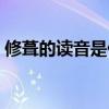 修葺的读音是什么意思是追溯（修葺的读音）