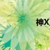 神X王（关于神X王介绍）