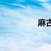 麻古的主要成分是什么？