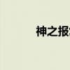 神之报复（关于神之报复介绍）