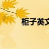 柜子英文单词怎么写（柜子英文）