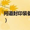 问道封印装备用野生还是宝宝（问道封印装备）