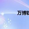 万博软件是什么（万博软件）