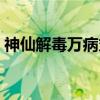 神仙解毒万病丸（关于神仙解毒万病丸介绍）