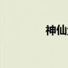神仙鱼（关于神仙鱼介绍）