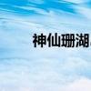 神仙珊湖岛（关于神仙珊湖岛介绍）