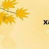 xa是什么车牌（xa）