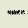 神偷奶爸：2（关于神偷奶爸：2介绍）