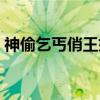 神偷乞丐俏王妃（关于神偷乞丐俏王妃介绍）