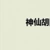 神仙胡同（关于神仙胡同介绍）