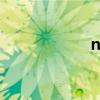 netsign驾驶室公司