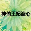 神偷王妃盗心记（关于神偷王妃盗心记介绍）