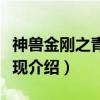 神兽金刚之青龙再现（关于神兽金刚之青龙再现介绍）