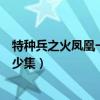 特种兵之火凤凰一共多少集电视剧（特种兵之火凤凰一共多少集）