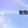 食指的诗赏析（食指的诗）
