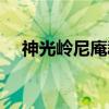 神光岭尼庵群（关于神光岭尼庵群介绍）