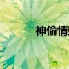神偷情贼（关于神偷情贼介绍）