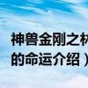 神兽金刚之林聪的命运（关于神兽金刚之林聪的命运介绍）