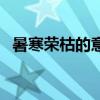 暑寒荣枯的意思是什么（暑寒荣枯的意思）