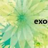exo的kai是谁（exokai）